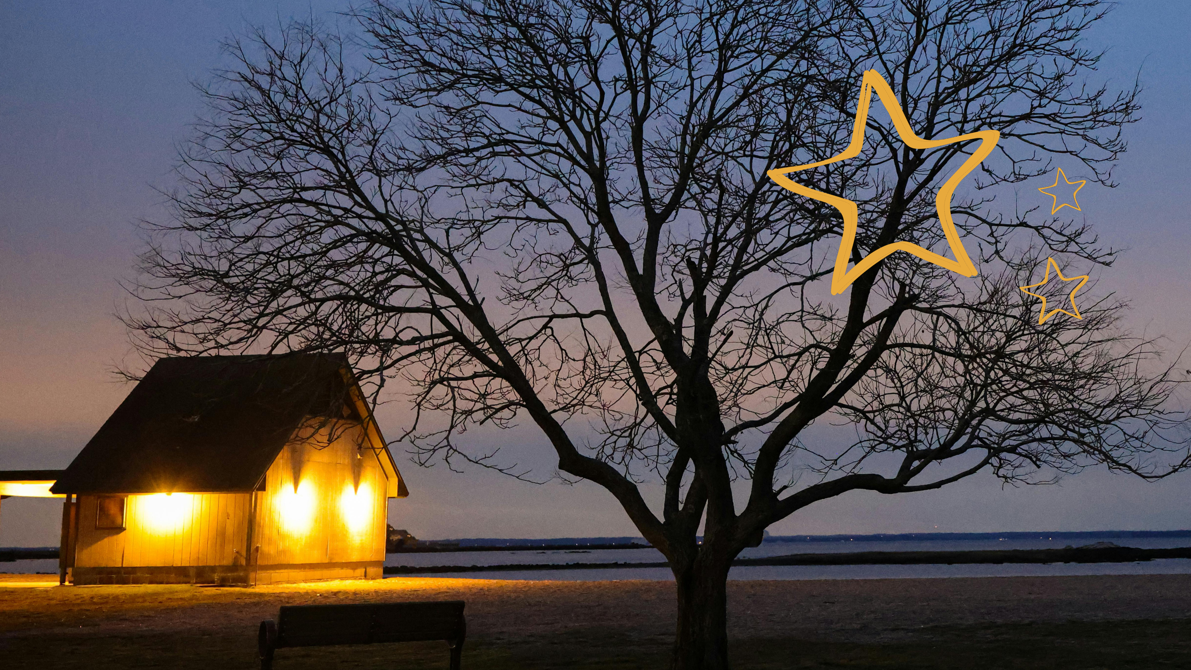 Weihnachten 2025 - Danke